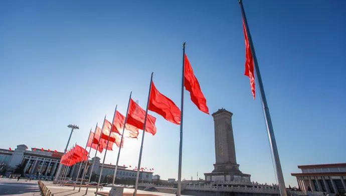 破碎的动物图形3